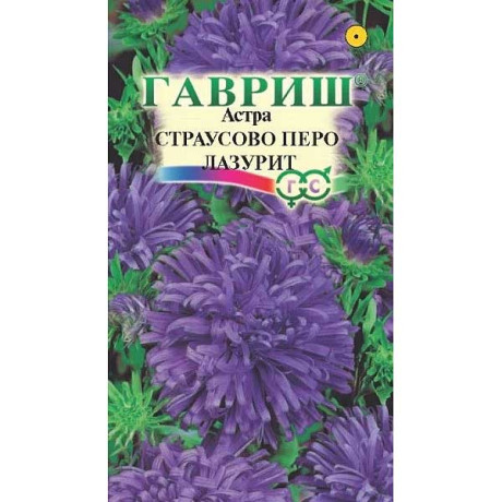 Астра Страусово перо Лазурит Гавриш Ц