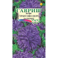 Астра Страусово перо Лазурит Гавриш Ц