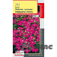 Лобелия Ривьера Роуз Плазма Ц