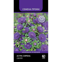 Семена Астра Сирена Синяя Поиск Цх10
