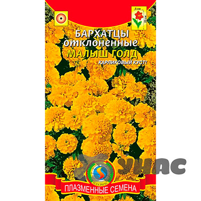 Бархатцы Малыш Голд  Плазма Ц