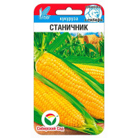 Кукуруза Станичник СибСад