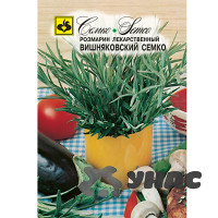 Розмарин Вишняковский Семко Семко Ц