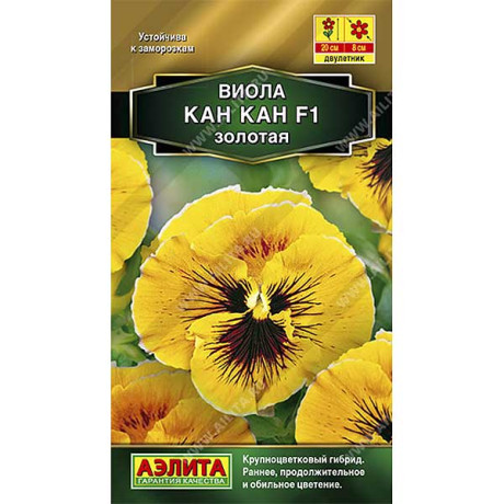 Виола Кан-кан золотая Аэлита Ц