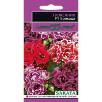 КОМ Глоксиния Брокада  гранул Гавриш Ц