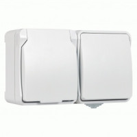 SmartBuy Сатурн блок (1 выкл. + роз. земля) ОУ 16А белый IP54 SBE-04g-16-SWS