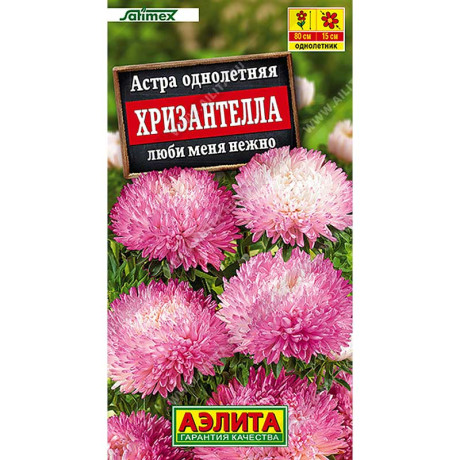 Астра Хризантелла люби меня нежно Аэлита Цх10