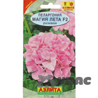 КОМ Пеларгония Магия лета розовая Аэлита Ц