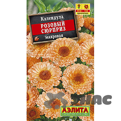 Календула Розовый сюрприз Аэлита Ц