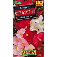КОМ Бегония Сенатор вечноцв. смесь Аэлита Ц