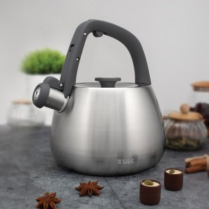 Чайник метал. со свистком Рейнард 2,2л ручка нейлон софт-тач, нерж.сталь TR-11372 TalleR