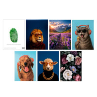 Блокнот А6, 40 листов, офсет, обложка картон, спираль, в клетку, 9 диз.