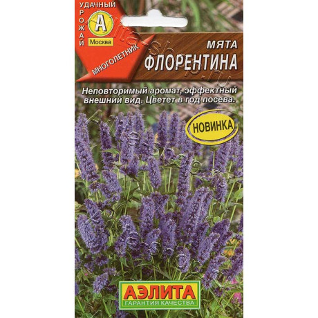 Семена Мята Флорентина Аэлита Ц x10