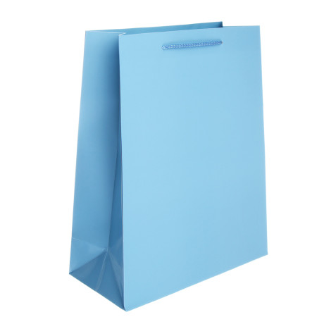 Пакет тм Fntastic подарочный, L 32x26x10см, бумага, арт.14, 4 цвета