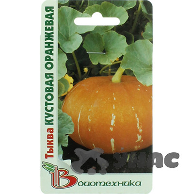 Тыква Кустовая оранжевая Биотехника Ц