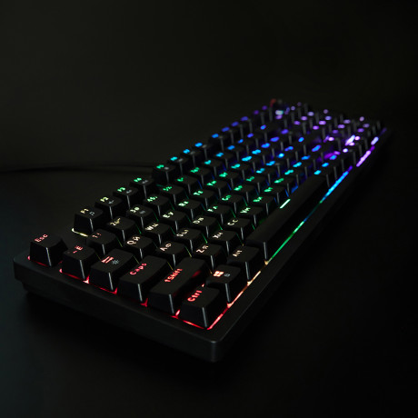 BY Игровая клавиатура проводная механическая Scutum FULL SIZE 96 кл., Outemu "Brown", RGB, 2м