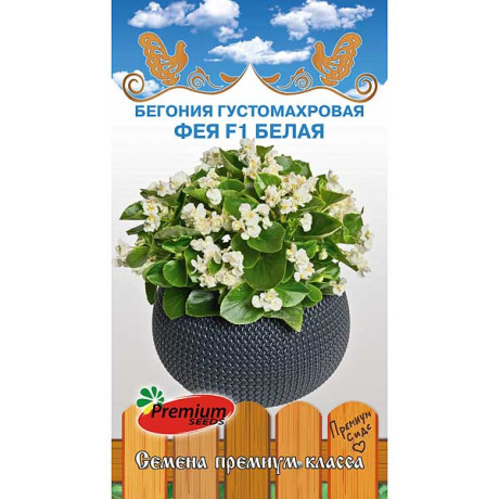 КОМ Бегония Фея F1 белая Премиум Сидс Ц