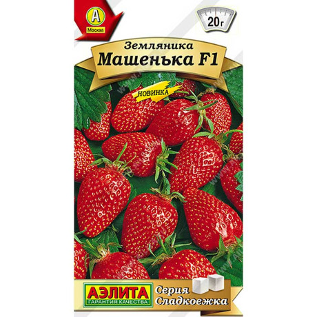 Земляника Машенька Аэлита Цх10