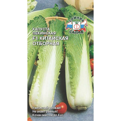 Капуста пекинская Китайская отборная Седек Ц