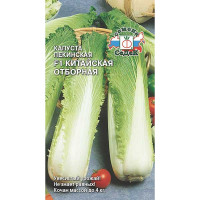 Капуста пекинская Китайская отборная Седек Ц