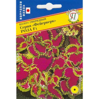 Колеус Фейерверк Роза Престиж Ц