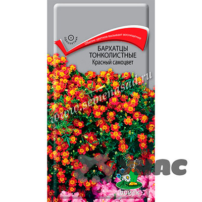 Бархатцы Красный самоцвет Поиск Ц