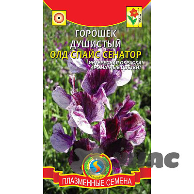 Горошек душистый Олд Спайс Сенатор Плазма Ц