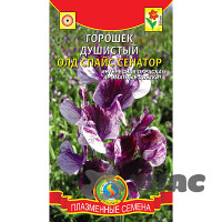 Горошек душистый Олд Спайс Сенатор Плазма Ц