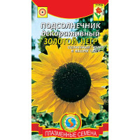 Подсолнечник Золотой негр Плазма Ц