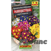 Примула Раннецветущая Аэлита Ц