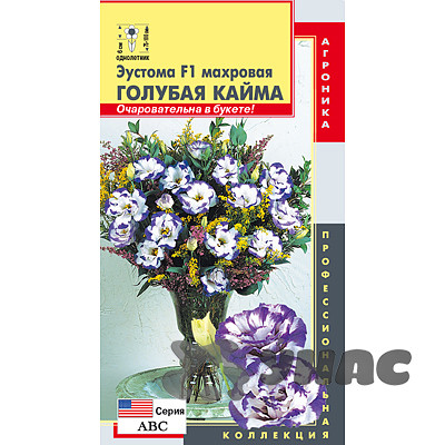 Эустома Голубая кайма Плазма Ц