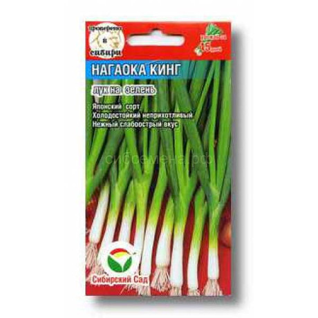 Лук на зелень Нагаока Кинг СибСад Ц