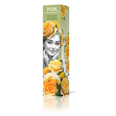 Роза чайно-гибридная Йеллоу Мэджик Садовита