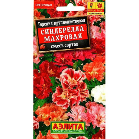 Годеция Синдерелла махровая Аэлита Ц