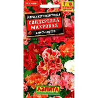 Годеция Синдерелла махровая Аэлита Ц