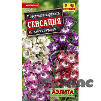 Пенстемон Сенсация Аэлита Ц х10