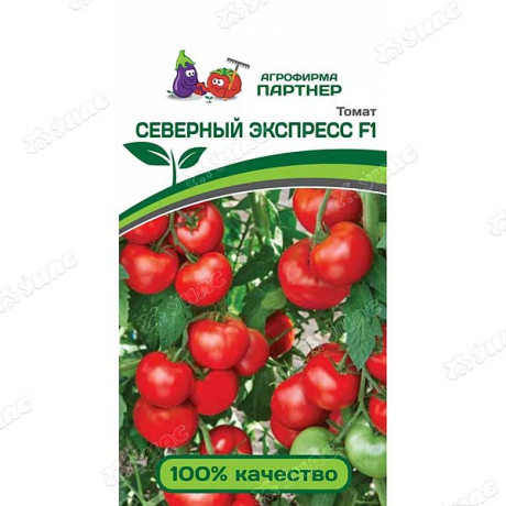 Семена Томат Северный экспресс Партнер