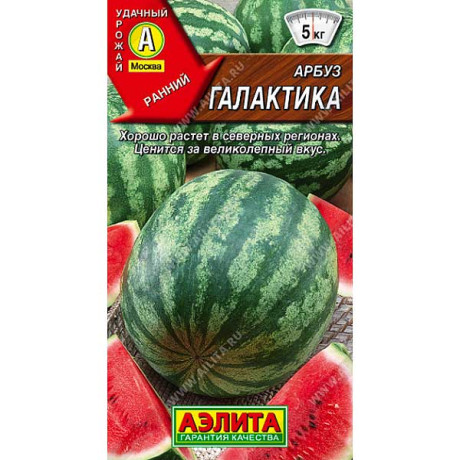 Арбуз Галактика Аэлита Ц