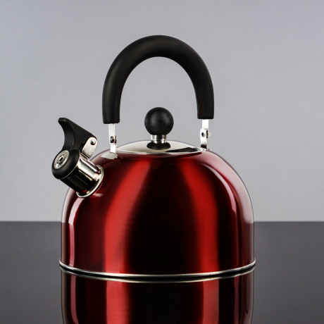 Чайник стальной 2.5л красный, индукция, RWK021
