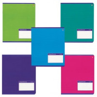 Тетрадь А5, 48 л., АЛЬТ, скоба, линия, выборочный лак, &quot;КЛАССИКА&quot; (5 видов), 7-48-899/2