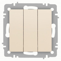 ЭРА Intro Accent мех. выкл. СУ 3 кл. 10А 250В, сл.кость 6-106-02