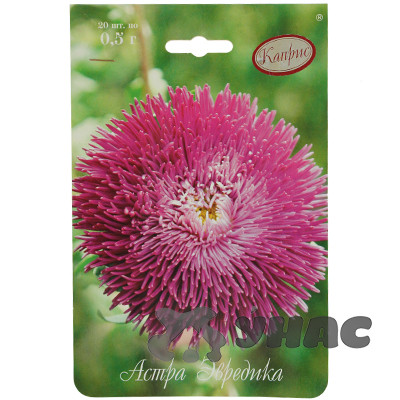 К Астра Эвредика Каприс