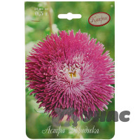 К Астра Эвредика Каприс