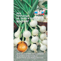 Лук Восторг репч. Седек Ц