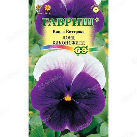 Виола Виттрока Лорд Биконсфилд Гавриш Ц