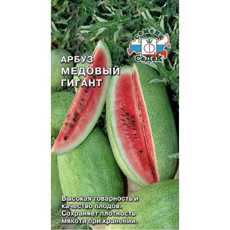 Арбуз Медовый гигант Седек Ц