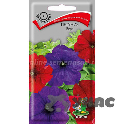 Петуния Вера Поиск Ц