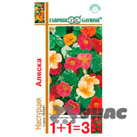 Настурция Аляска 1+1 Гавриш Ц