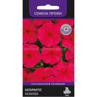 Катарантус Казанова Поиск Ц