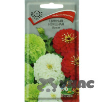 Циния Италия Поиск Ц